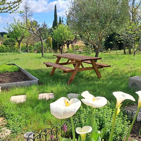 My Quiet Place Near Carcassonne Esterno foto